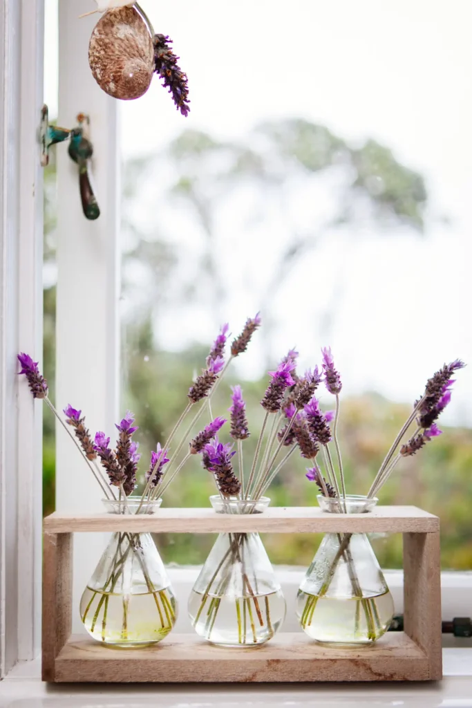 Hanging herbs and herbal jars in kitchen