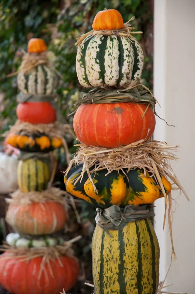 autumn garden decorations, Pumpkin Power & Plant Displays