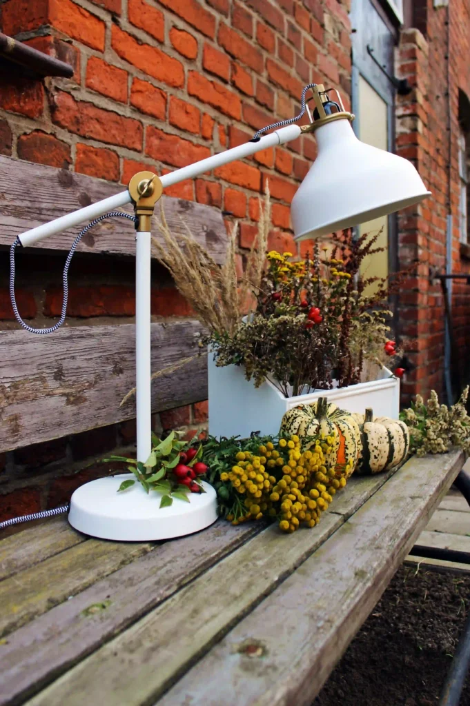 Eco-Friendly & Small-Space Fall Decor