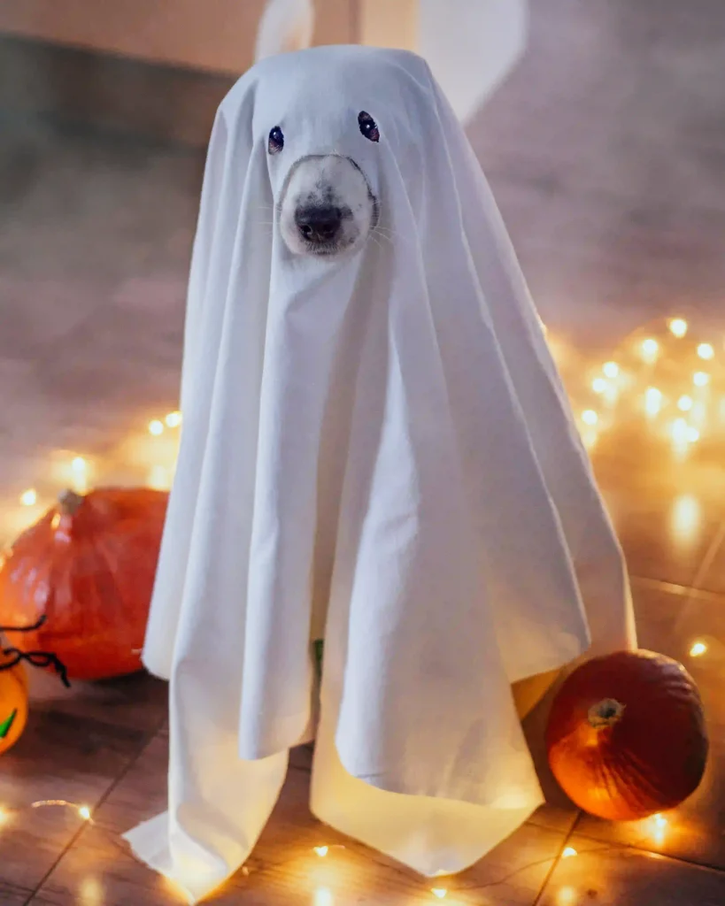 DIY Standing Ghost